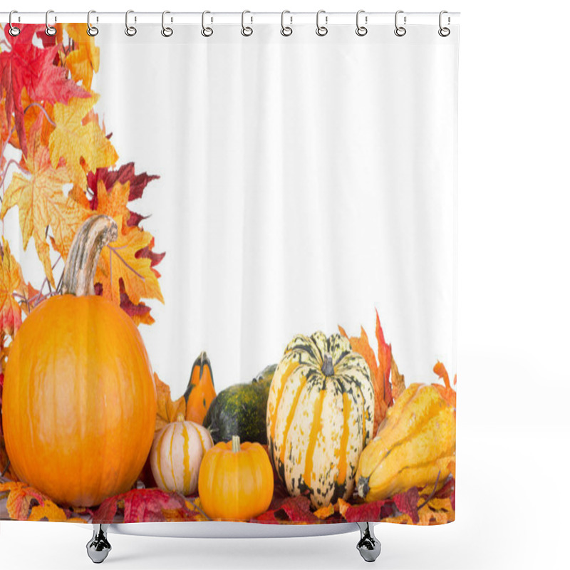 Personality  Pumpkins And Gourds Shower Curtains