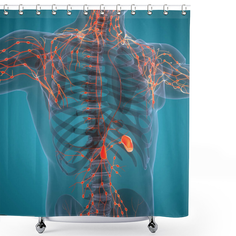 Personality  Human Internal System Lymph Nodes Anatomy. 3D Shower Curtains