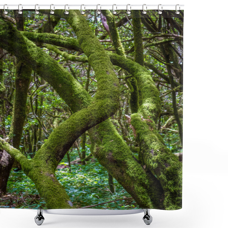 Personality  Tropical Forest Landscape On Canary Islands, Spain Shower Curtains