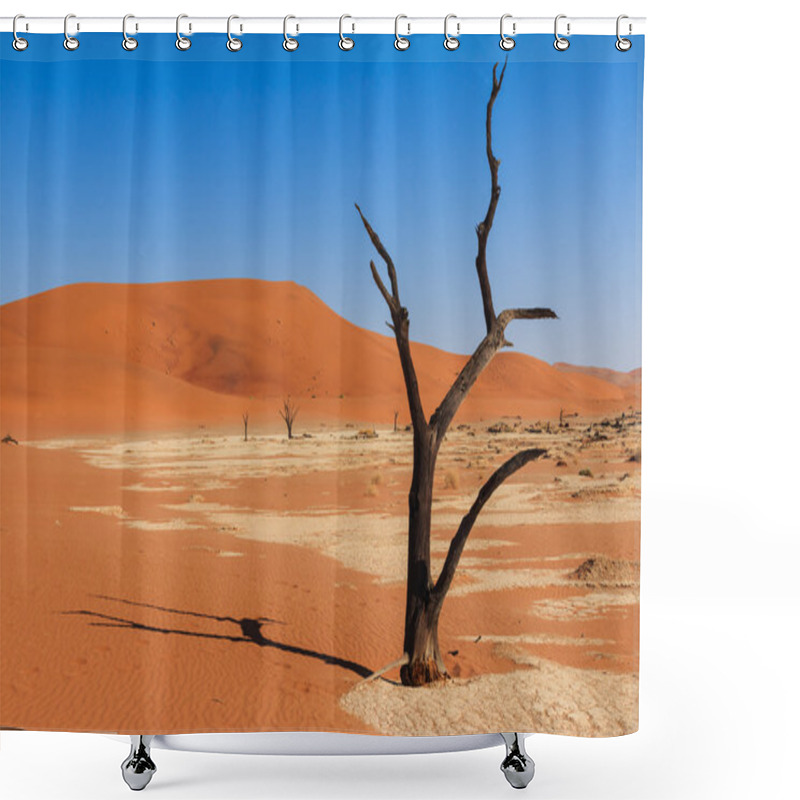 Personality  Close Up Tree Deadvlei Valley Namibia Shower Curtains