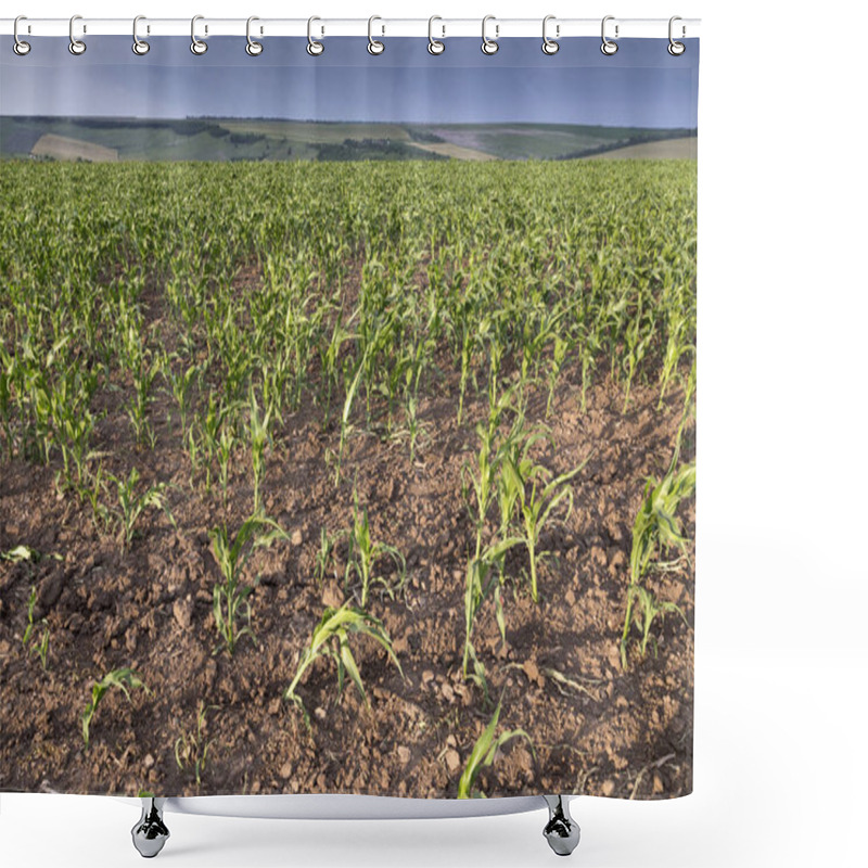 Personality  Corn Field With Dark Sky In Sunset. Shower Curtains