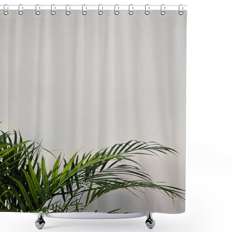 Personality  Green Tropical Plant With Lush Leaves Against A Minimalistic Light Wall With Copy Space Shower Curtains