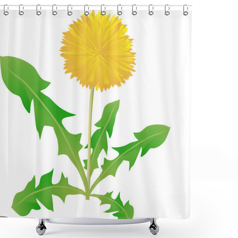 Personality  Common Dandelion, Dandelion A Herb, Shower Curtains