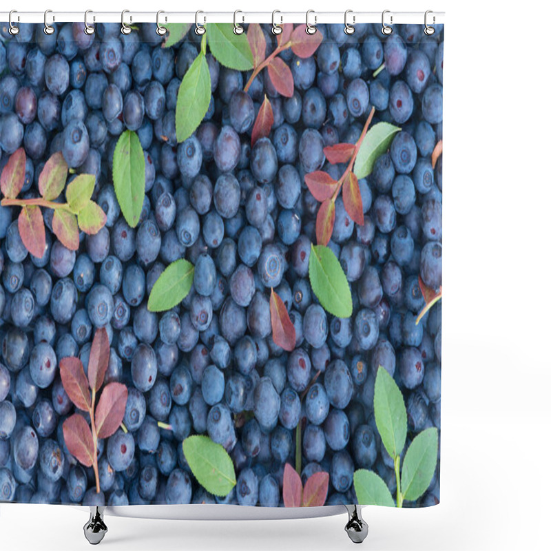 Personality  Placer Blueberries Macro Isolated With Red And Green Leaves And Without Leaves Shower Curtains