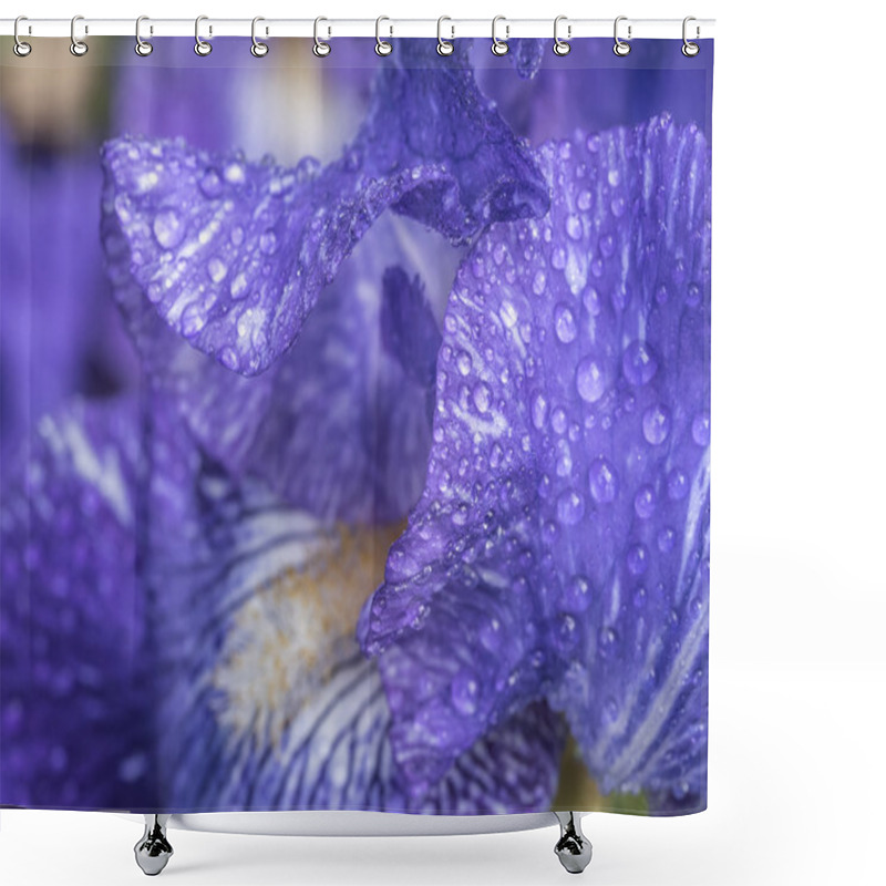 Personality  Bloe Iris Flower,Border Bearded Iris BATIK Shower Curtains