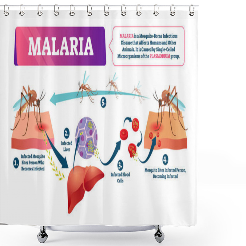 Personality  Malaria Vector Illustration. Mosquito Bite Blood Infected Disease Shower Curtains