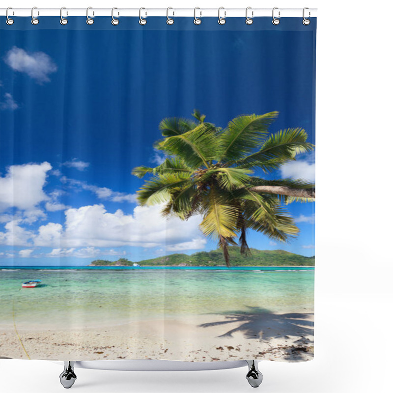 Personality  Palm Tree Hanging Over Beach Shower Curtains