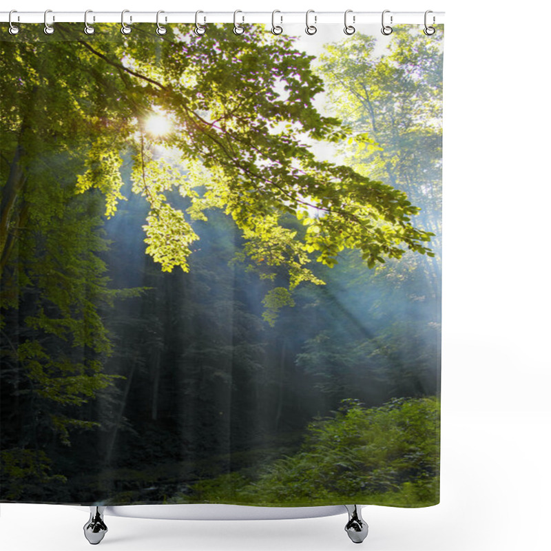 Personality  Morning Sunshine In A Forest Shower Curtains