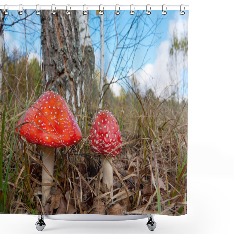 Personality  Two Fly Agaric Mushrooms In A Forest Shower Curtains