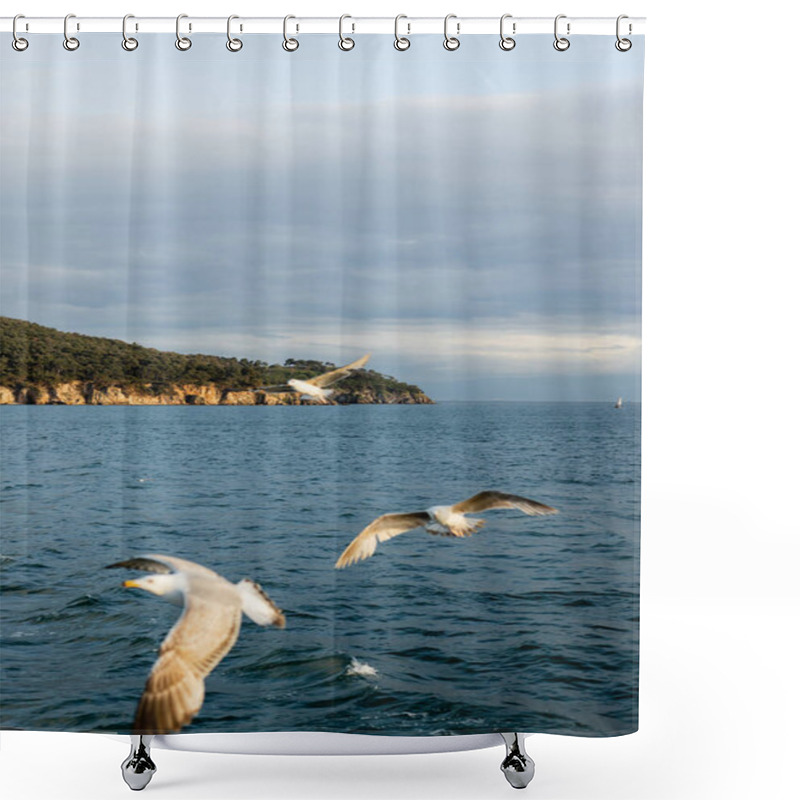 Personality  Blurred Birds Flying Above Sea With Coastline At Background In Turkey  Shower Curtains