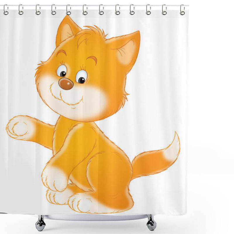 Personality  Ginger Kitten With White Paws And Cheeks Shower Curtains