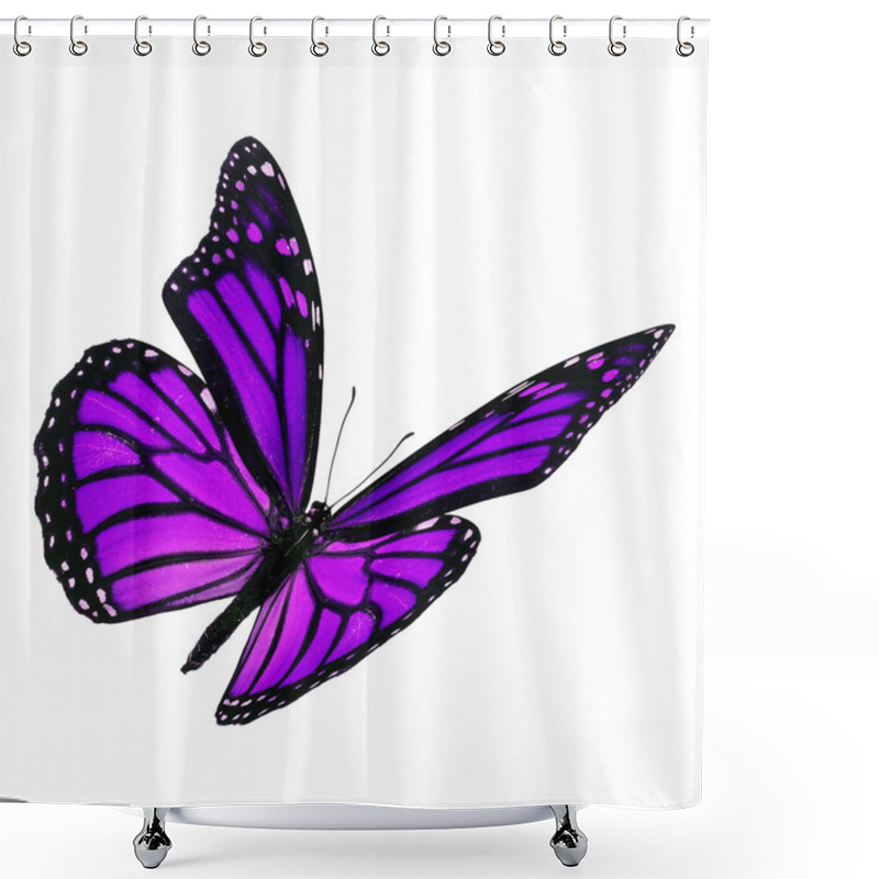 Personality  Beautiful Purple Monarch Butterfly Shower Curtains