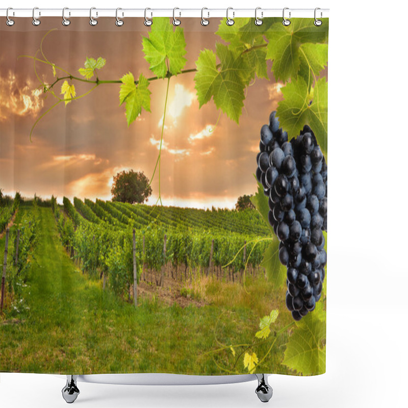 Personality  Evening View Of The Vineyards Shower Curtains