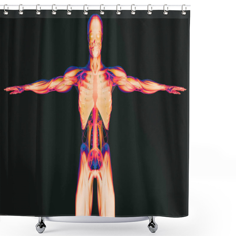 Personality  Human Anatomy Model Shower Curtains