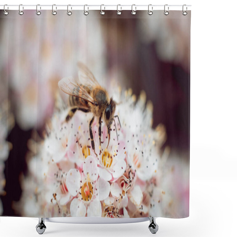 Personality  A Bee On A Flower Shower Curtains