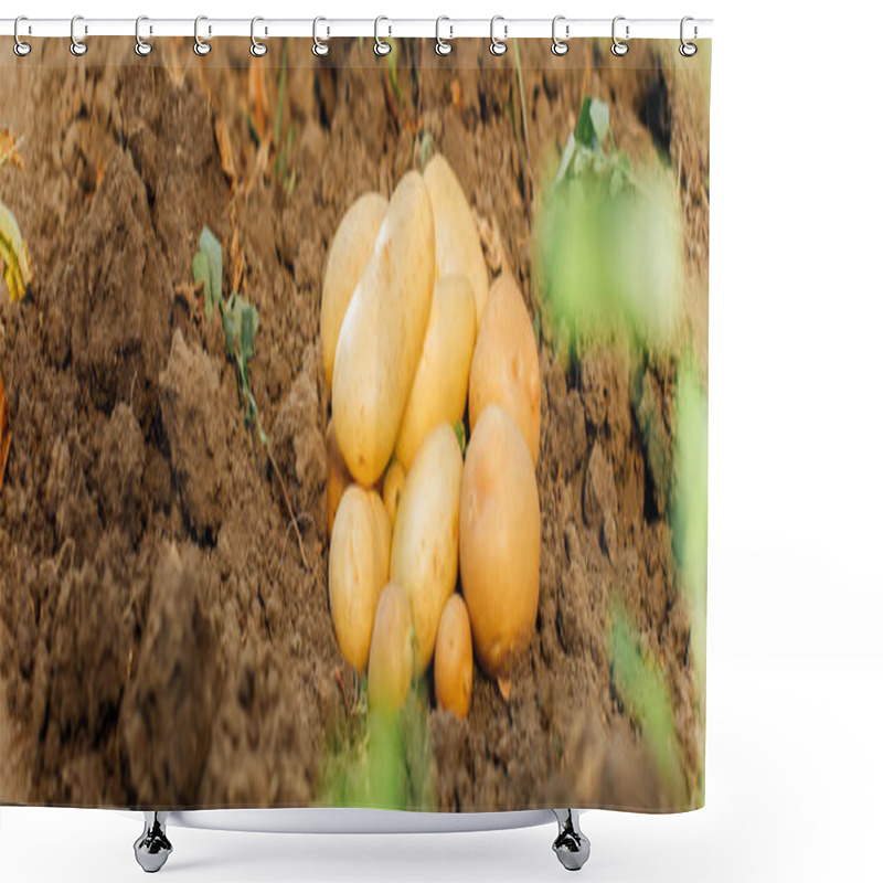 Personality  Fresh, Organic Potatoes On Soil In Field, Horizontal Image Shower Curtains