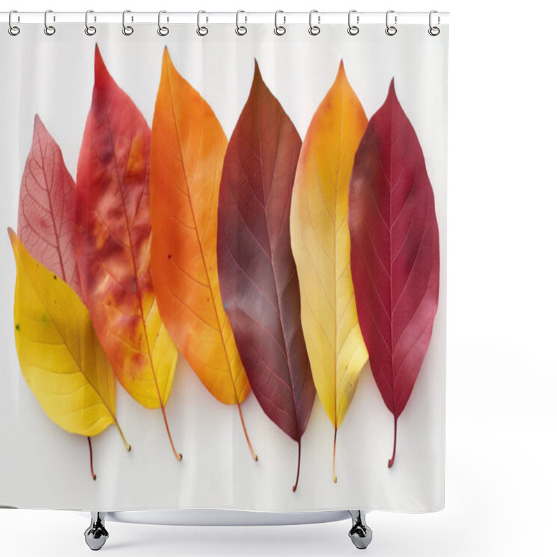 Personality  A Row Of Autumn Leaves In Varying Shades Of Red, Yellow, And Brown, Arranged Neatly Against A White Background, Symbolizing Seasonal Change. Shower Curtains