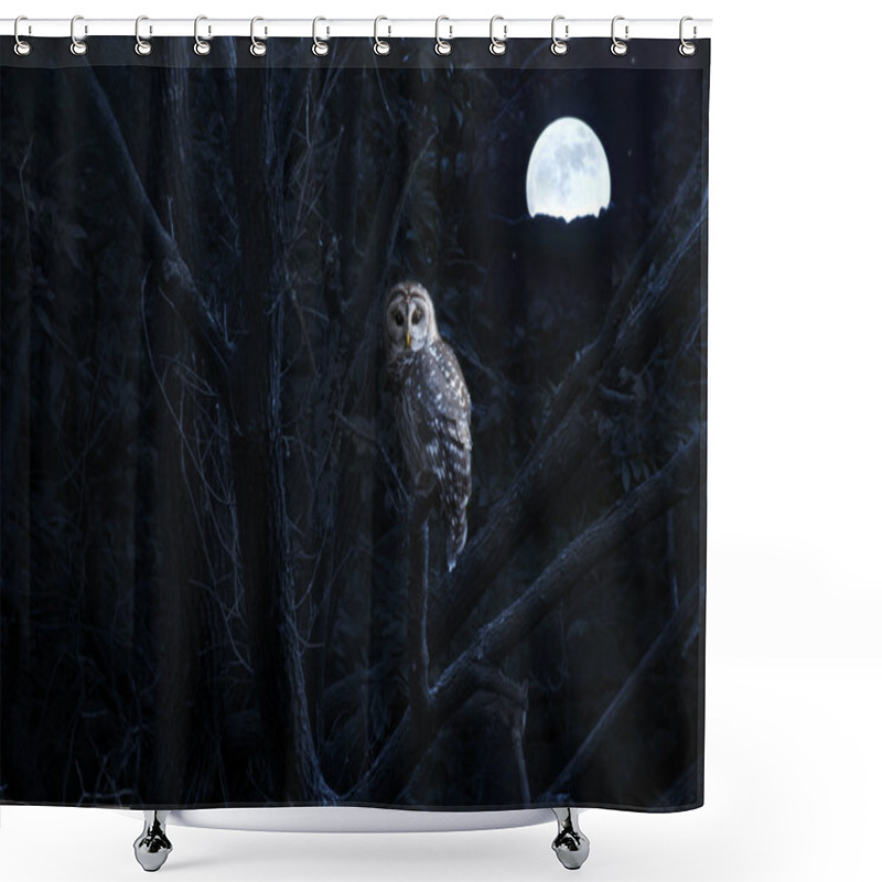 Personality  Barred Owl Sits Quietly Illuminated By Bright Full Moonrise Shower Curtains