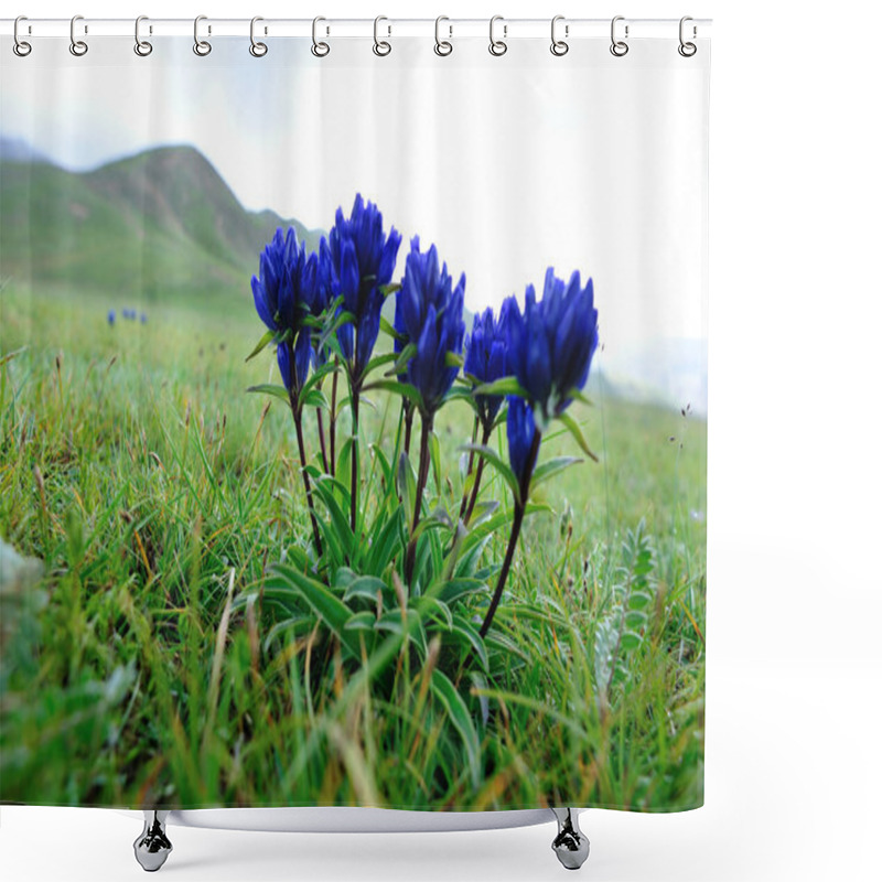 Personality  Blue Beautiful  Flowers Blooming On The Field In China Shower Curtains