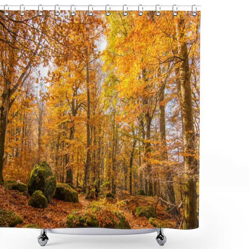 Personality  Vetusta Beech Forest Of Cimino Mount In Autumn. Foliage In Lazio,  Italy Shower Curtains