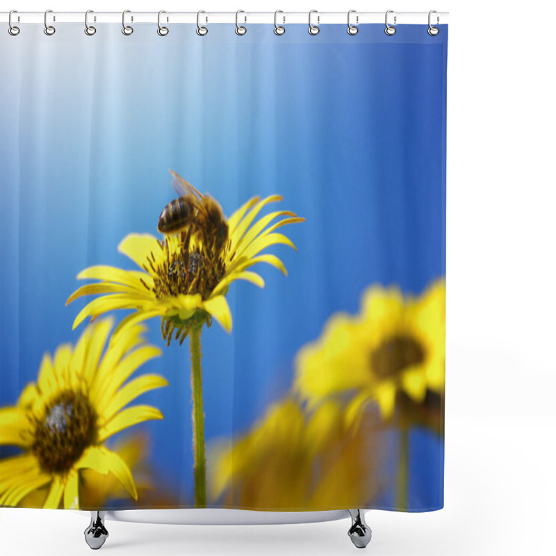 Personality  Flowers And Bees Shower Curtains