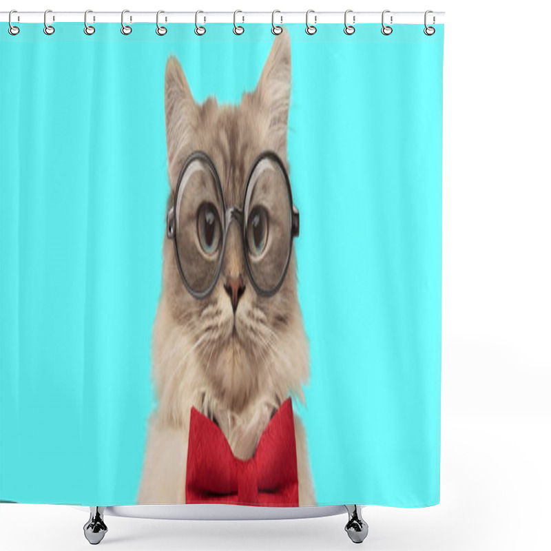 Personality  Funny Young Metis Cat Sitting And Wearing A Red Bow Tie With Eyeglasses On Blue Background Shower Curtains