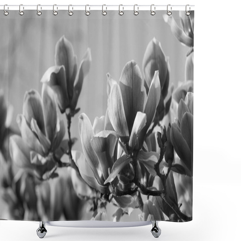 Personality  Magnolia Flower Black And White Shower Curtains