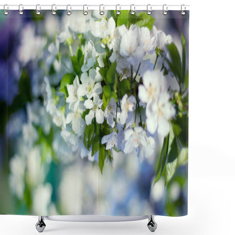 Personality  Delicate Cherry Blossoms Shower Curtains