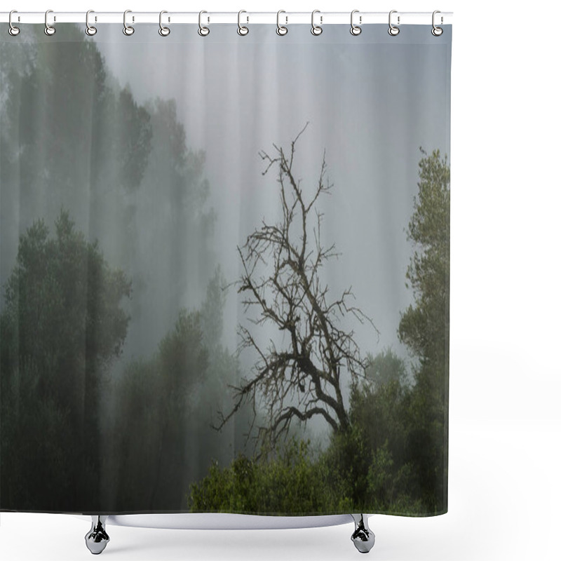 Personality  A Foggy Forest Scenery With A Dead Tree, In The Judea Mountains Near Jerusalem, Israel Shower Curtains