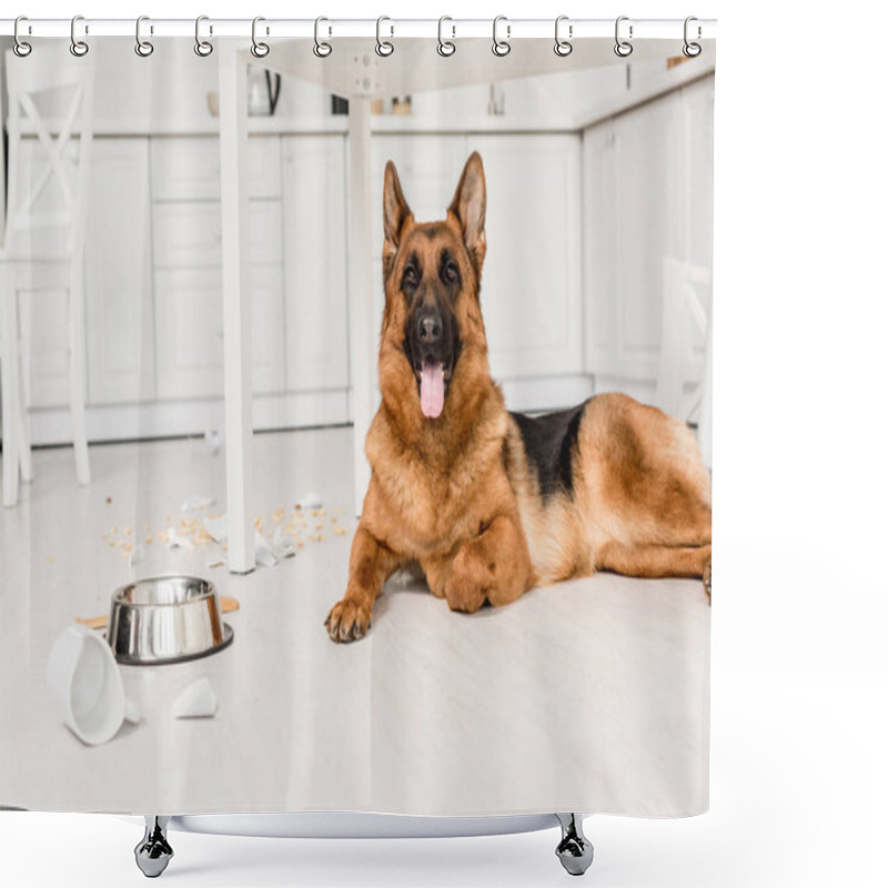 Personality   Cute German Shepherd Lying On Floor And Looking At Camera In Messy Kitchen Shower Curtains