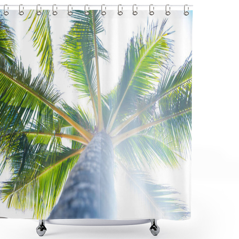 Personality  Palm Tree Bottom View Hot Day Shower Curtains