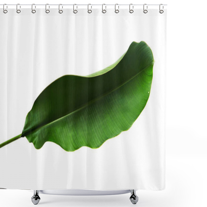 Personality  Strelitzia Reginae, Heliconia, Bird Of Paradise Foliage Isolated On White Background, With Clipping Path Shower Curtains