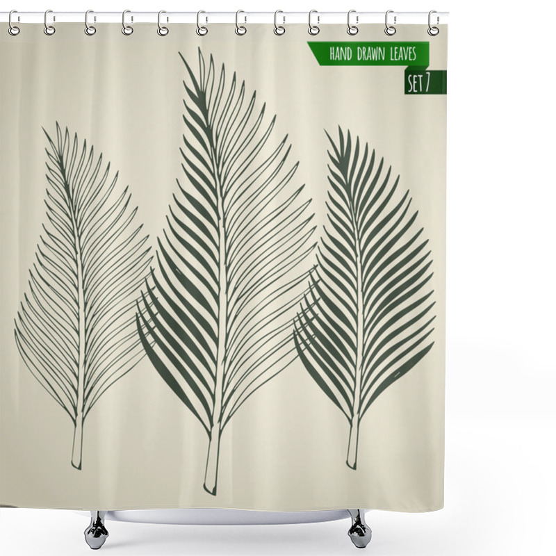 Personality  Hand Drawn Palm Leaves Shower Curtains