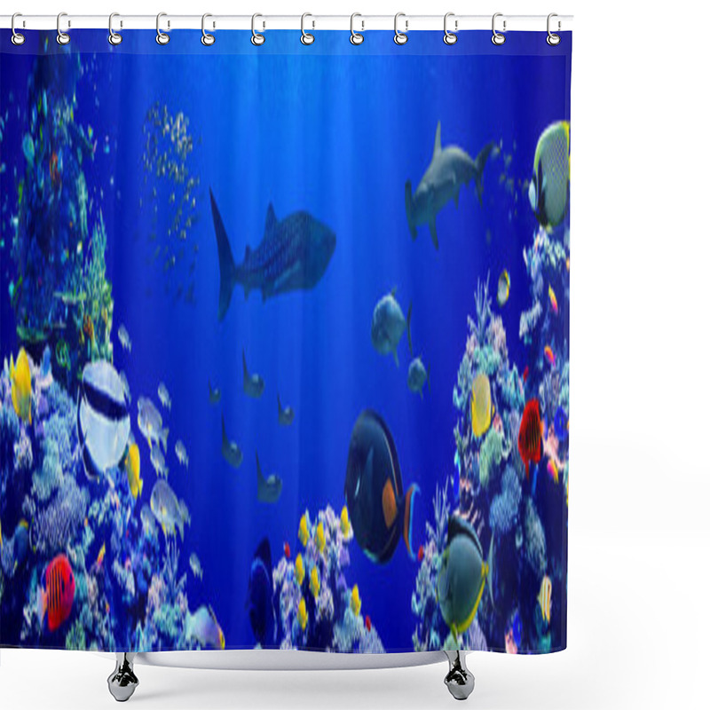 Personality  Panorama Background Of Beautiful Coral Reef With Marine Tropical Fish In Central Pacific That Whale Shark Visited Shower Curtains