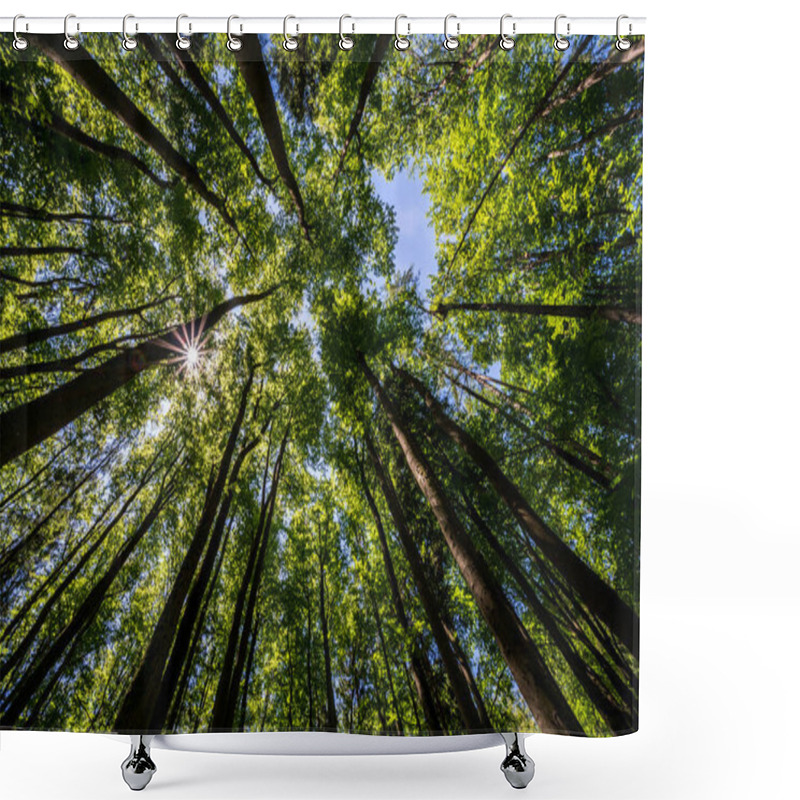 Personality  Trees In A Forest From Below With The Sun Ultra Wide Shower Curtains