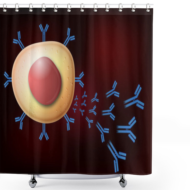 Personality  B Cell Lymphocyte Producing Antibodies Shower Curtains