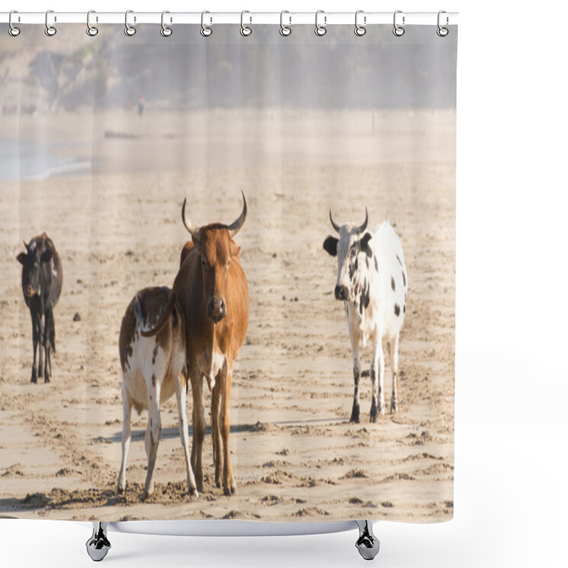 Personality  Nguni Cow At The Seaside Shower Curtains