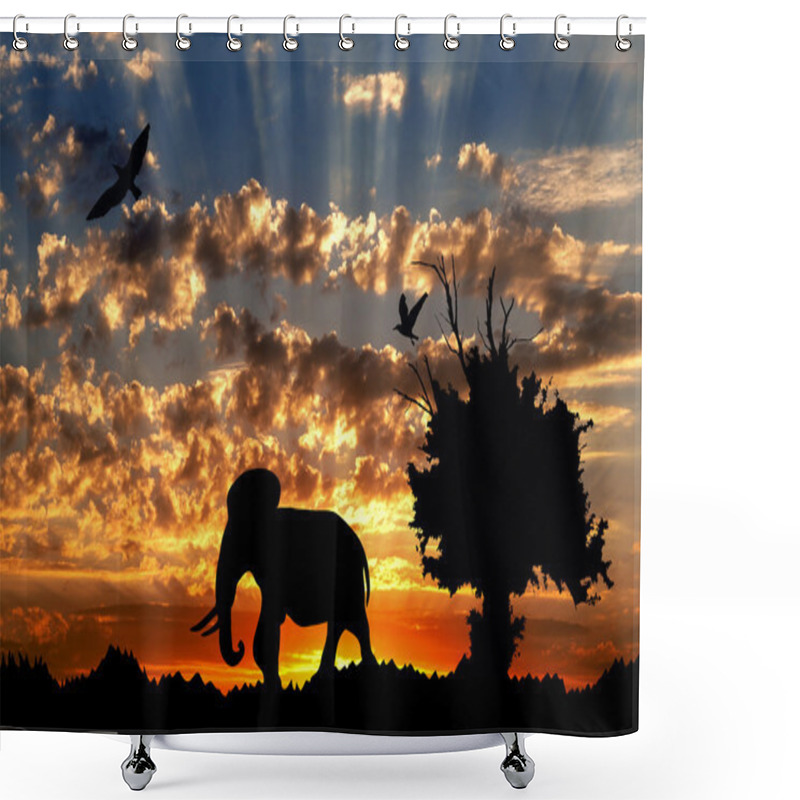 Personality  Jungle With Old Tree, Birds And Elephant On Golden Cloudy Sunset Background Shower Curtains