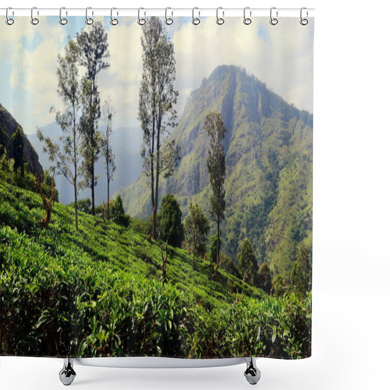 Personality  Tea Plantations In The Mountains. Terraced Fields Of Ceylon Tea Plants On The Hills Near Ella, Sri Lanka. View To The Ella Rock Peak - Popular Tourist Attraction. Green Freshness Landscape. Shower Curtains