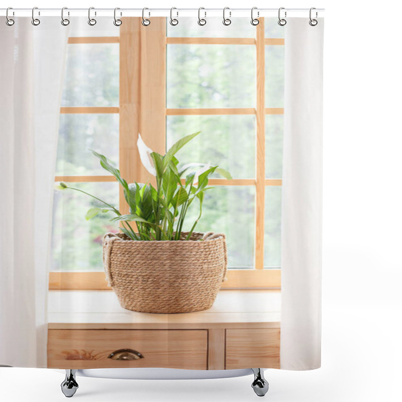 Personality  Spathiphyllum Home Plant In Straw Pot Stands On A Windowsill. Home Plants On The Windowsill. Concept Of Home Gardening. Spathiphyllumin Flowerpot On Windowsill At Home. Scandinavian. Space For Text Shower Curtains