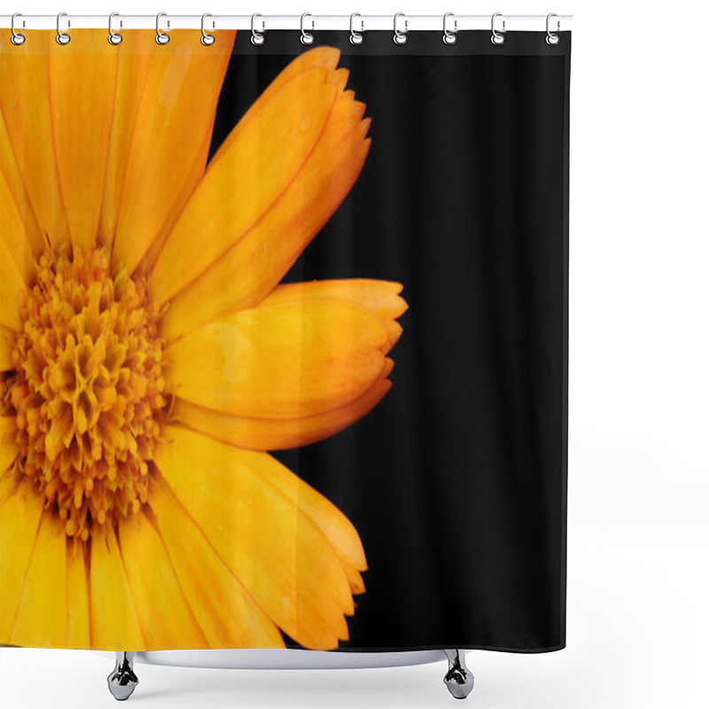 Personality  Orange Flower Closeup Shower Curtains