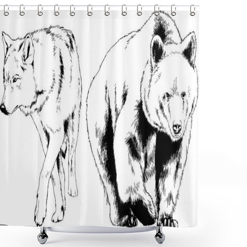 Personality  Set Of Vector Drawings On The Theme Of Predators Hand-drawn Sketches With No Background Shower Curtains