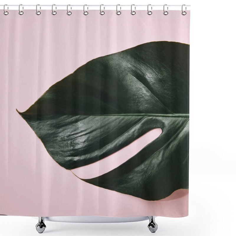 Personality  Cropped Shot Of Monstera Leaf On Pink Tabletop Shower Curtains