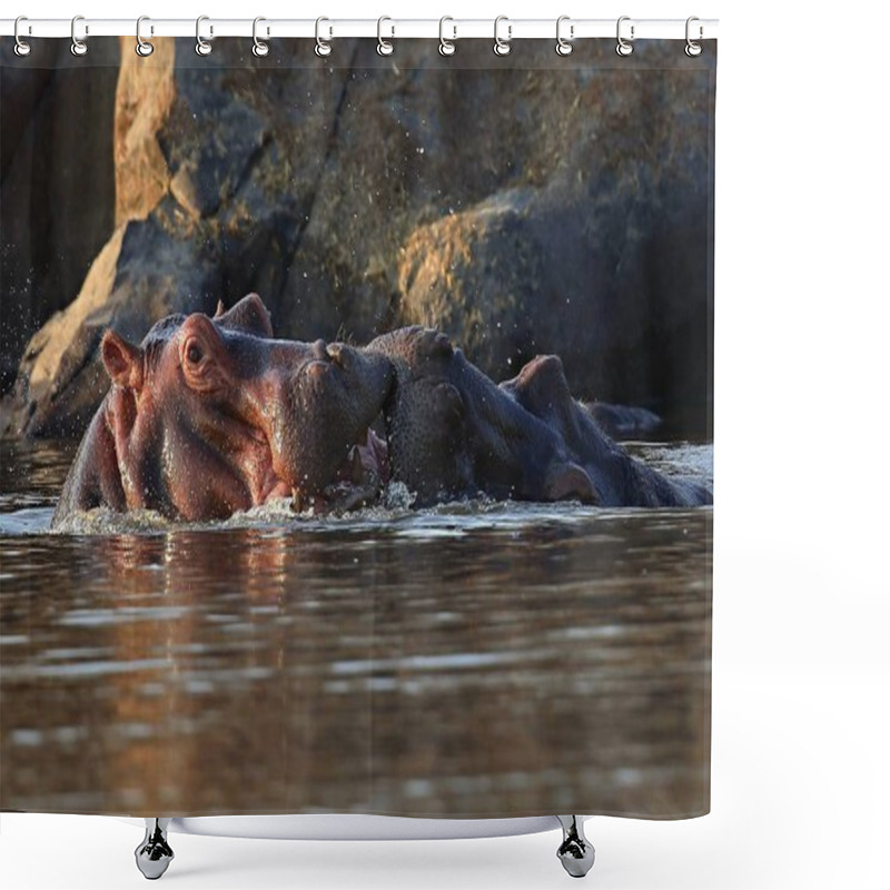 Personality  Hippos In The Beautiful Nature Habitat Shower Curtains