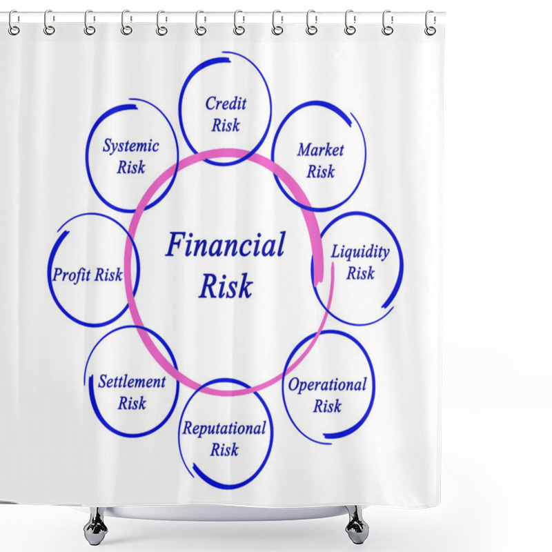 Personality  Diagram Of Financial Risks Shower Curtains