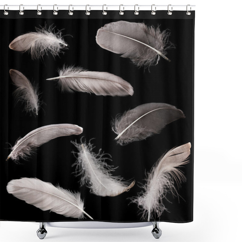 Personality  Collage Of Feathers On Black Background Shower Curtains