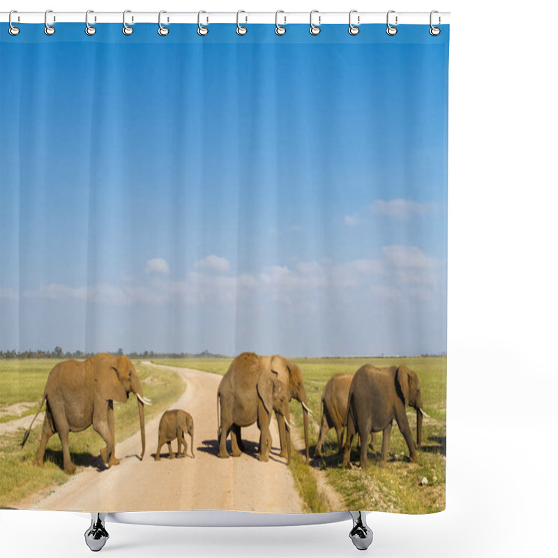 Personality  A Group Of Elephants With Baby Crosses The Road. Amboseli, Kenya Shower Curtains