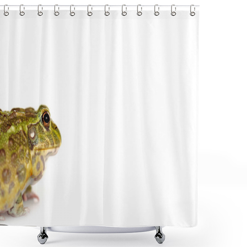 Personality  Close Up View Of Cute Green Frog Isolated On White Shower Curtains