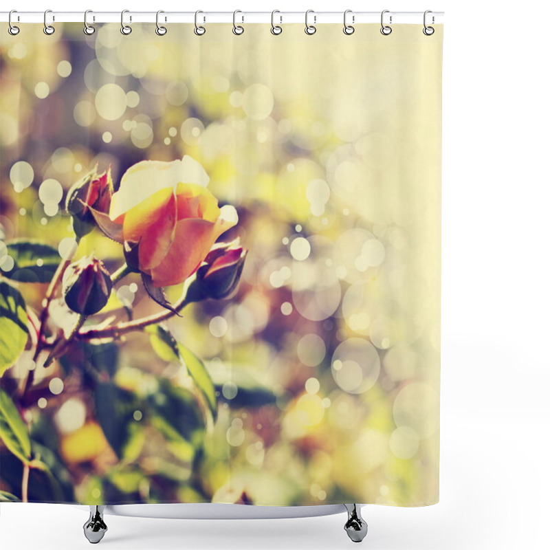 Personality  Yellow Roses Shower Curtains