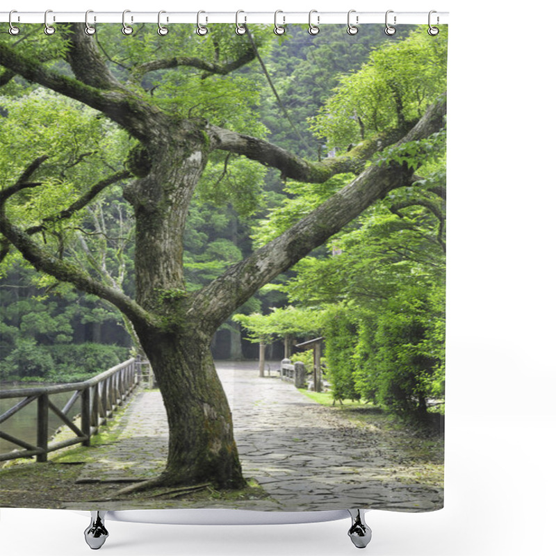 Personality  Camphor Tree Shower Curtains